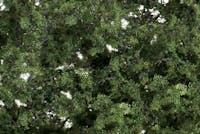 Woodland Scenics F1131 Fine-Leaf Foliage™ Medium Green