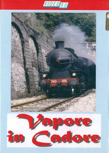 ETR Editrice DVD001 Vapore in Cadore - Immagini spettacolari realizzate nel 1993 e 1994, protagonista la Gr.740 293