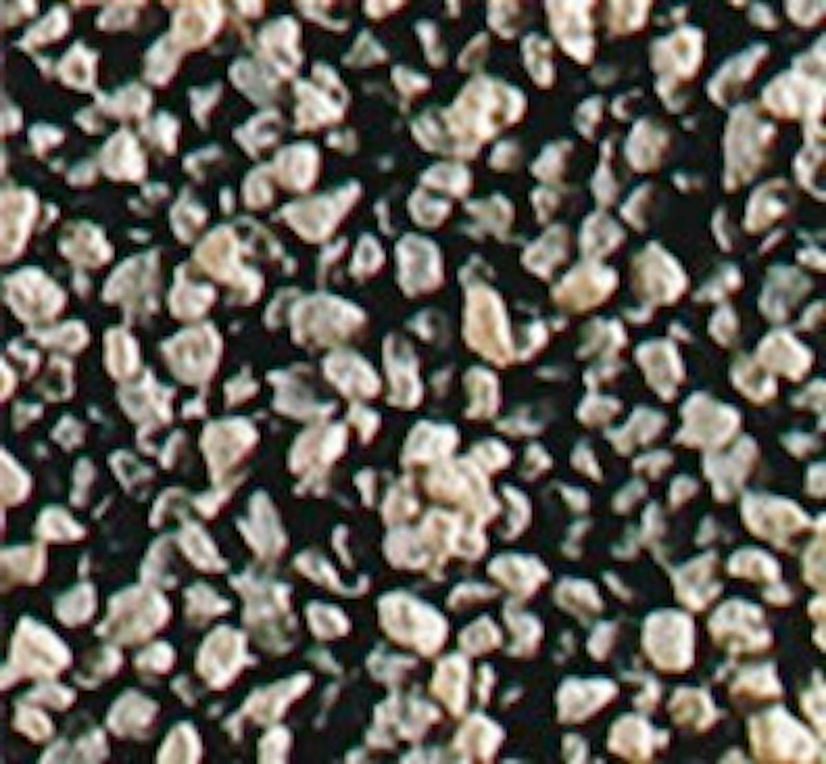 Fleischmann 6479 - Pezzo Per Decodifica Percorsi Modellismo Ferroviario, Contenitore 150g