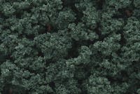 Woodland Scenics FC1647 Bushes Dark Green con dosatore shaker da 945 cu cm