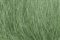 Woodland Scenics FG174 Field Grass Medium Green