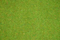 Noch 00011 Tappeto erboso verde fiorito 200 x 100 cm