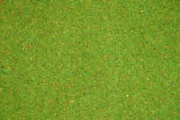 Noch 00011 Tappeto erboso verde fiorito 200 x 100 cm