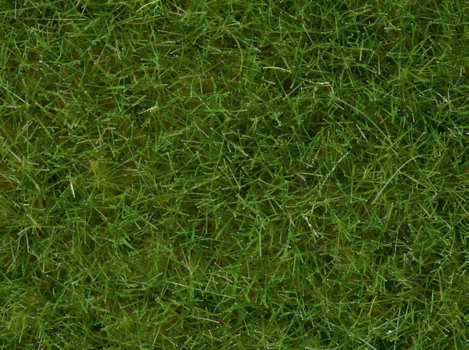 Noch 07092 Manto erboso verde chiaro da 6 mm, in barattolo da 100 g