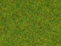 Noch 08150 Erba verde primavera da 2.5 mm, in barattolo da 120 g