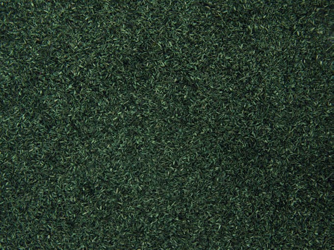 Noch 08376 Erba verde sottobosco, in barattolo da 200 g