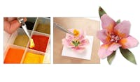 Woodland Scenics T4649 Polline rosa, 29.4 cm3 (1.8 in3)