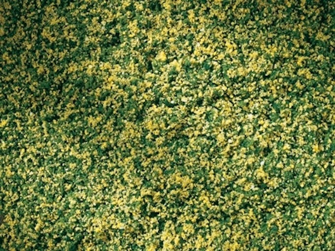 Auhagen 76668 Tappeto erboso fiorito 150 x 250 mm