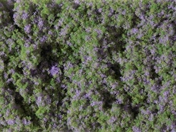 Auhagen 76931 Tappeto erboso fiorito colore viola 150 x 250 mm