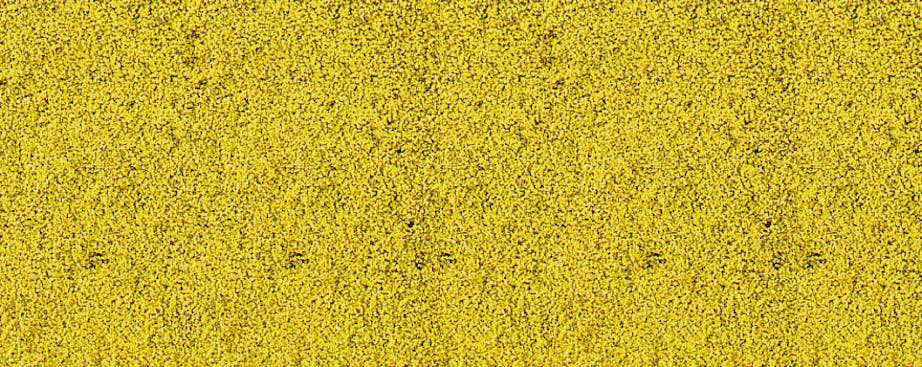 Heki 1589 Fogliame giallo 14 x 28 cm