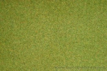 Jordan 102 Tappeto erboso verde chiaro 200 x 100 cm