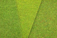 Heki 30805.3 Tappeto erboso verde medio fiorito 34 x 24 cm