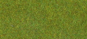 Heki 30903 Tappeto erboso verde chiaro 100 x 300 cm