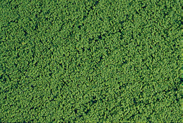 Heki 1601 Fogliame microflora felce verde medio 28x14 cm