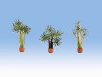 Noch 14024 Palme in vaso, confezione 3 pz.