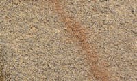 Woodland Scenics C1288 Gravel Gravel Buff Fine, Gravel (176 cm3) Accent Powder (29.4 cm3
