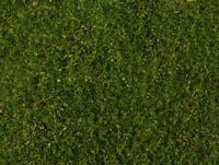 Noch 07291 Meadow Foliage verde medio 20 x 23 cm