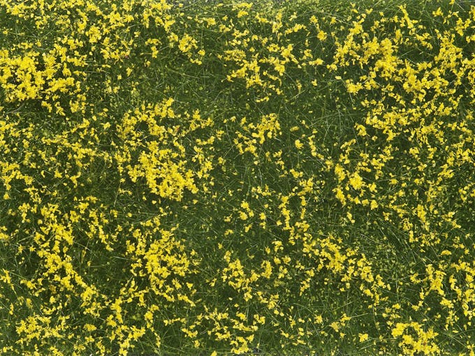 Noch 07255 Prato fiorito giallo, 12 x 18 cm