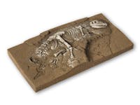 Noch 58614 Scavi archeologici dinosauro T-Rex