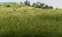 Woodland Scenics FS626 Static Grass Medium Green 12 mm, 28 gr