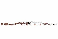Noch 21782 Albero con modulo sonoro cinguettio uccelli, 18,5 cm