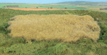 Heki 15790 Campo di fieno di erba selvatica realistica / 28 x 14 cm
