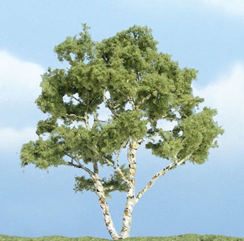 Woodland Scenics TR1601 Albero Betulla, 1 pz. H.9.84 cm