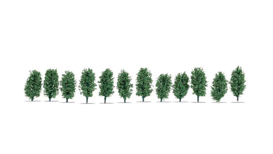 Principi di potatura degli alberi ornamentali - SIRF Principi di potatura degli alberi ornamentali - SIRF
