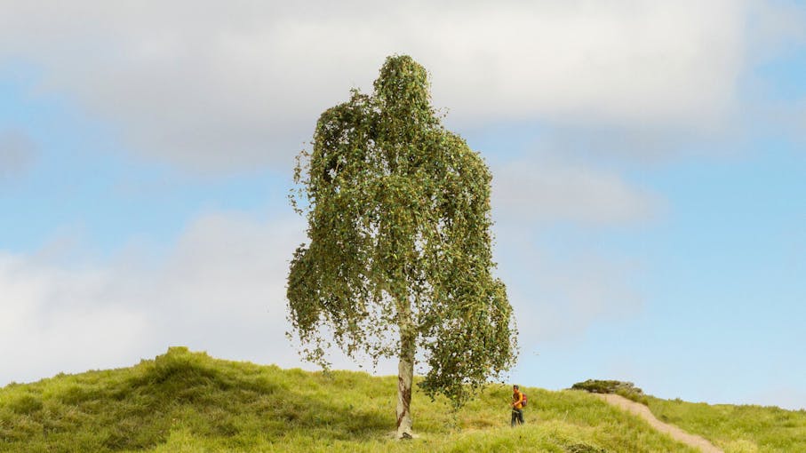 Noch 20120 Albero - betulla argentata